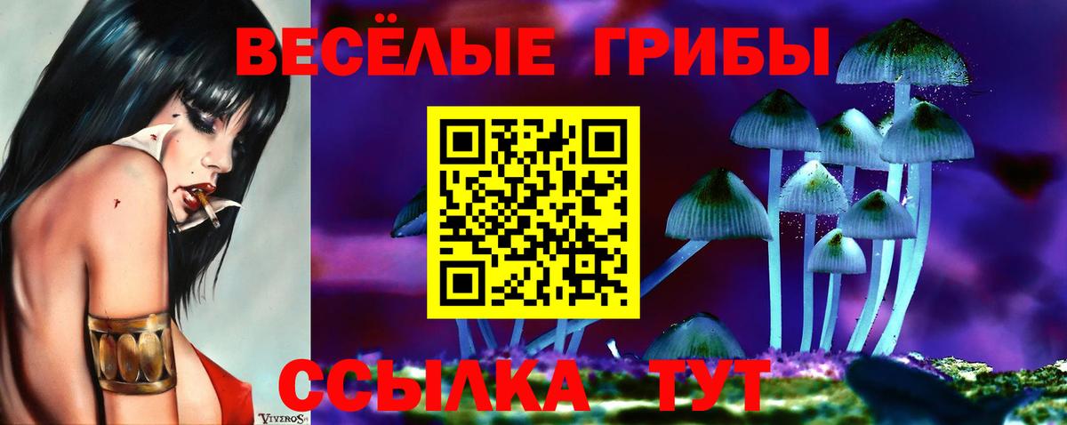 Тихвин  Псилоцибиновые грибы прущие грибы  Вход с VPN  Псилоцибиновые грибы GOLDEN TEACHER 